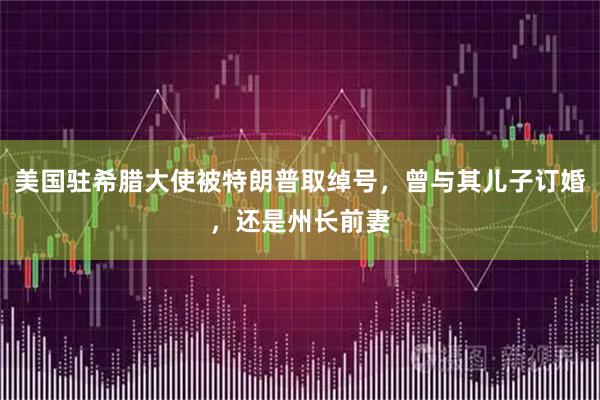 美国驻希腊大使被特朗普取绰号,曾与其儿子订婚,还是州长前妻