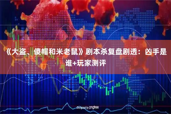《大盗、傻帽和米老鼠》剧本杀复盘剧透：凶手是谁+玩家测评