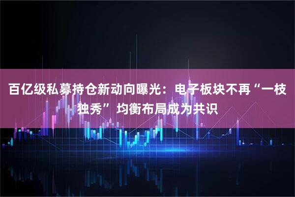百亿级私募持仓新动向曝光：电子板块不再“一枝独秀” 均衡布局成为共识
